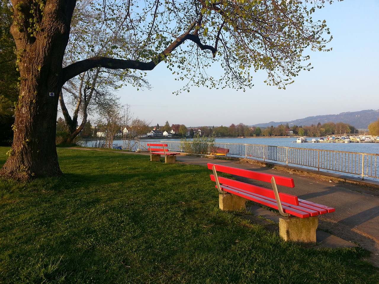 中国队在网 中国队在网