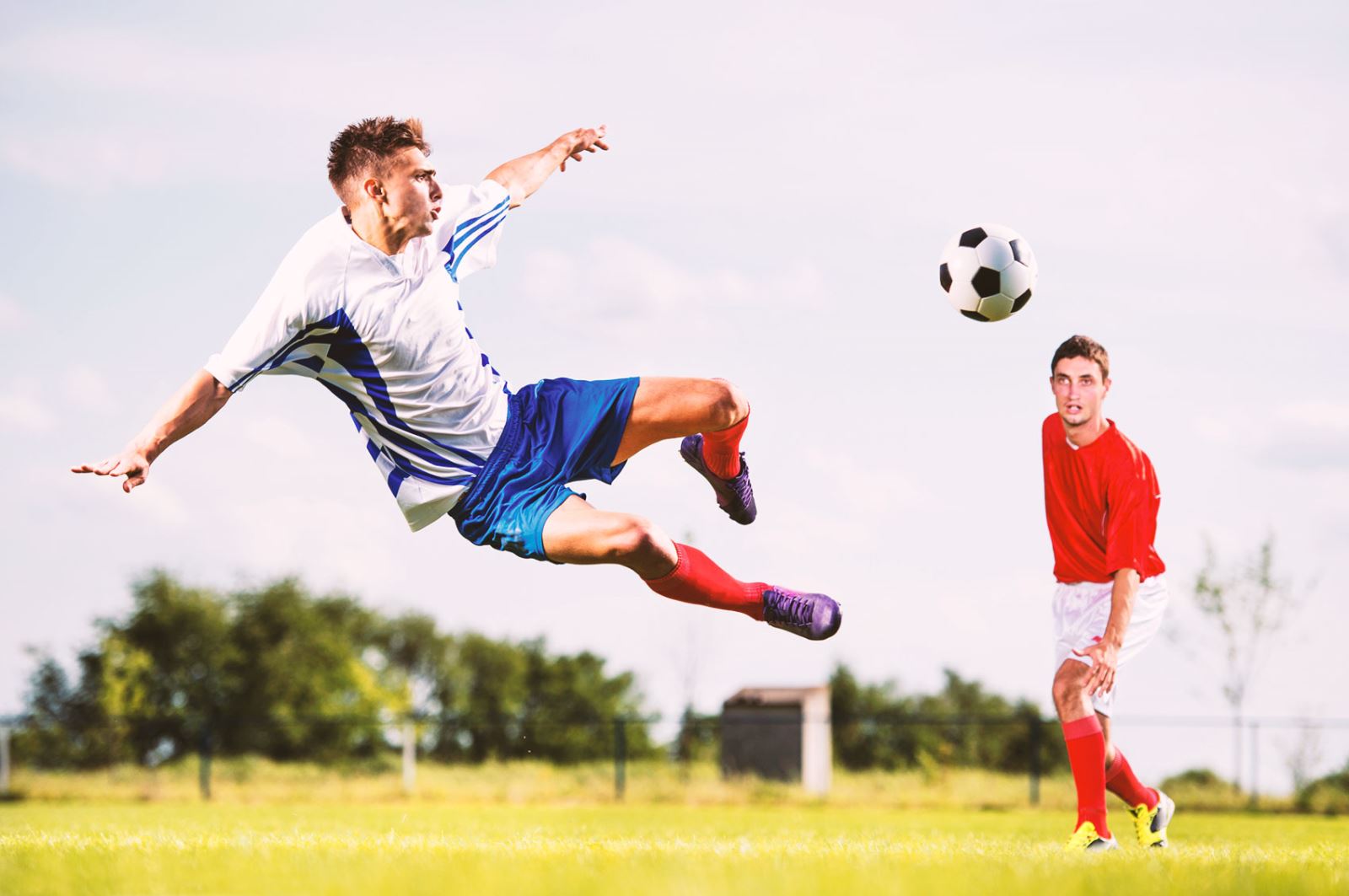 出了良好的 出了良好的