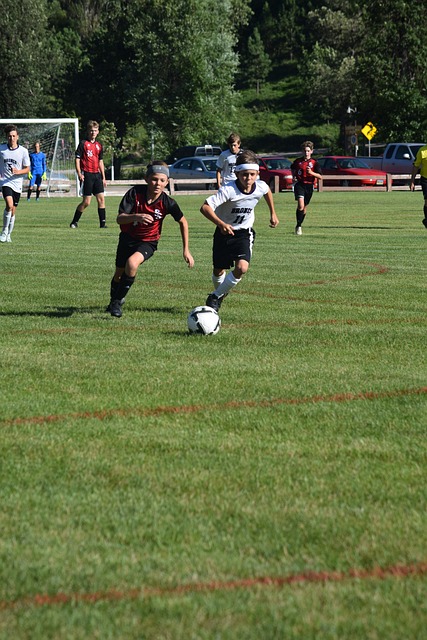 轻球员的培 轻球员的培